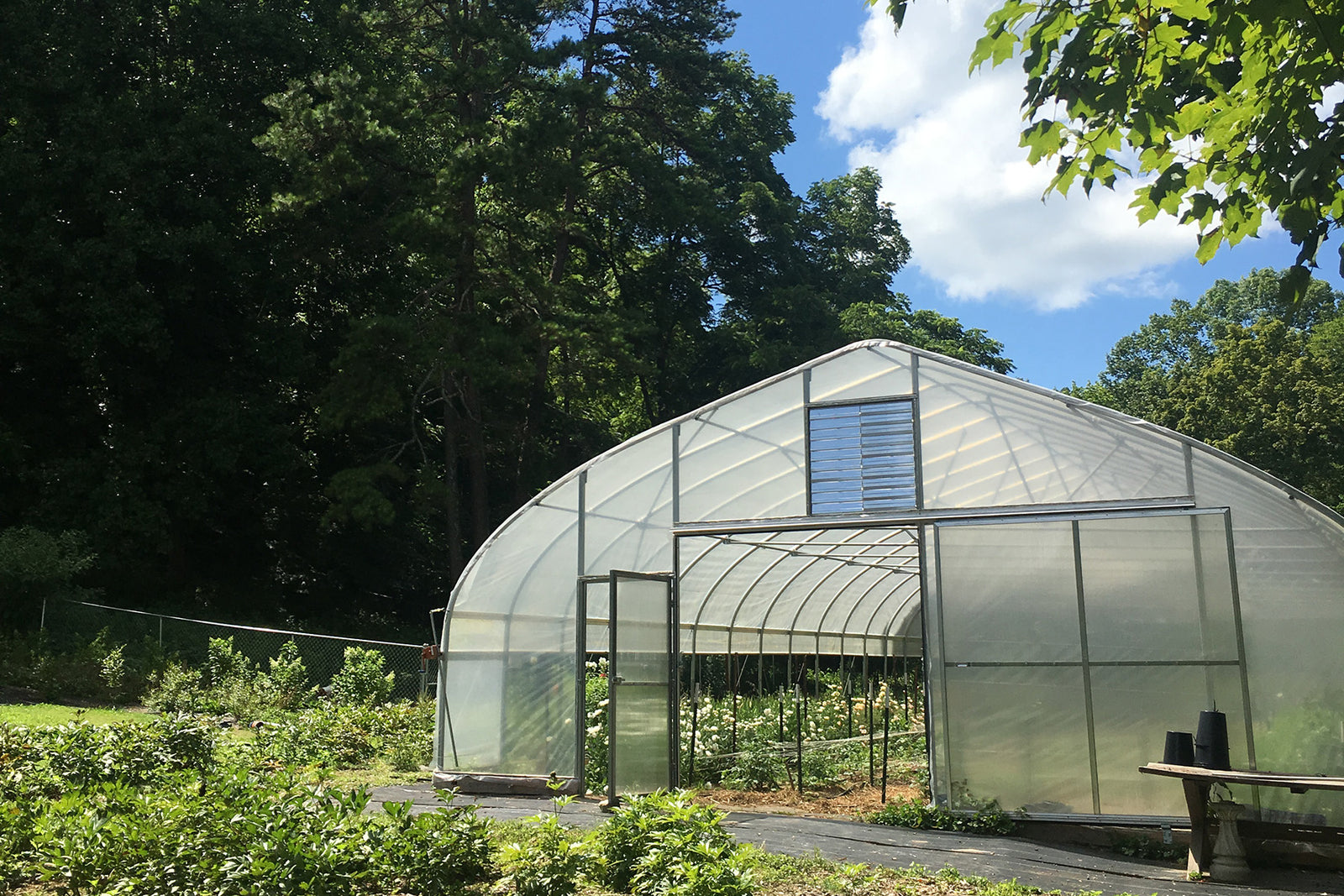 Basil & Bergamot Tour | Part II