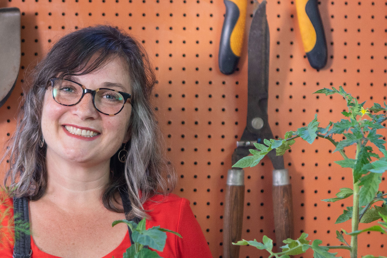 Fall Vegetable Garden