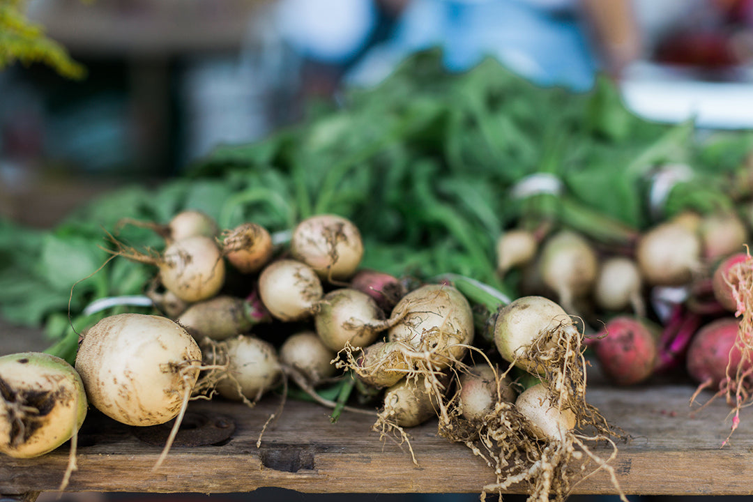 Bloomsbury Farm Tour | Part I