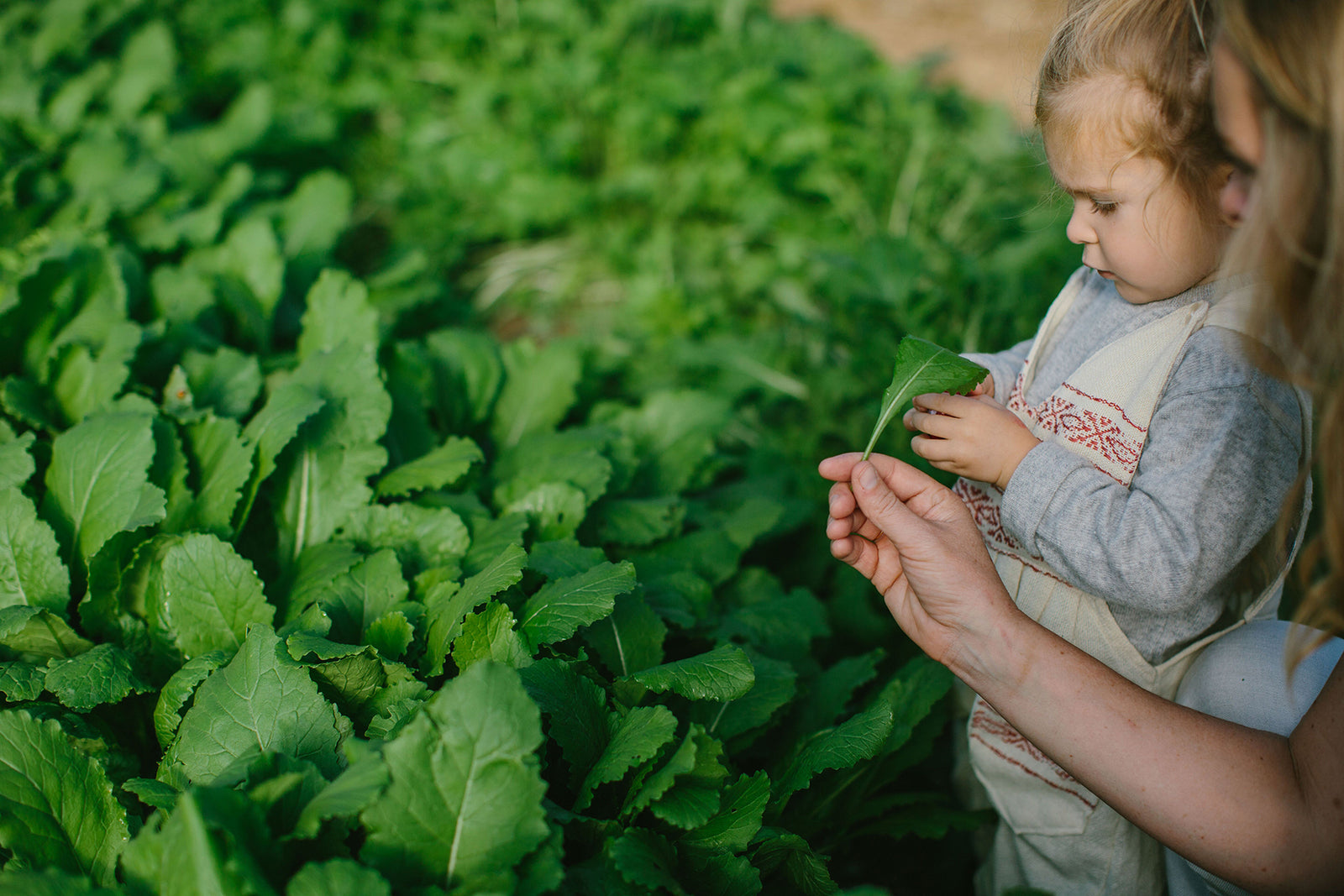 Bloomsbury Farm Tour | Part II