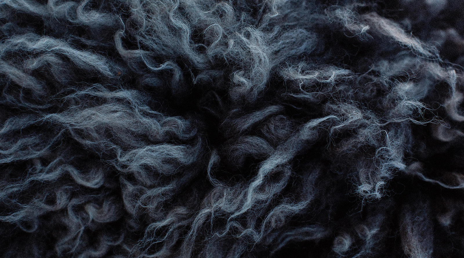 Shepherdess Holistic Hides