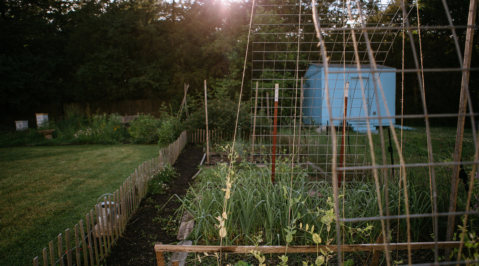 October | Getting The Most Out of Your Garden