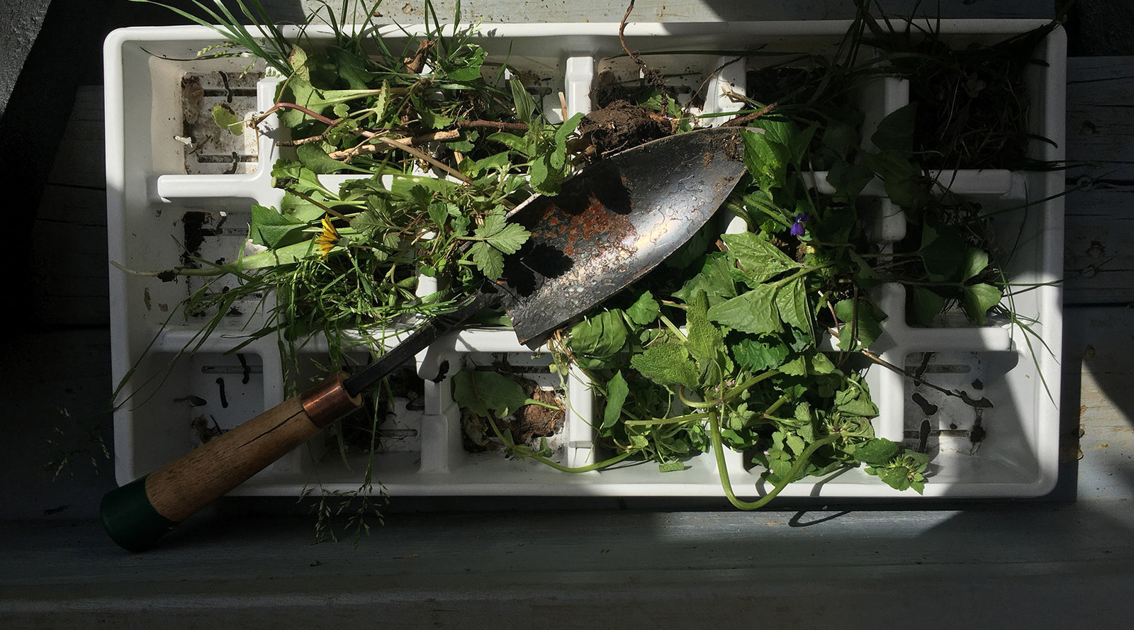 April | Garden In Full Swing