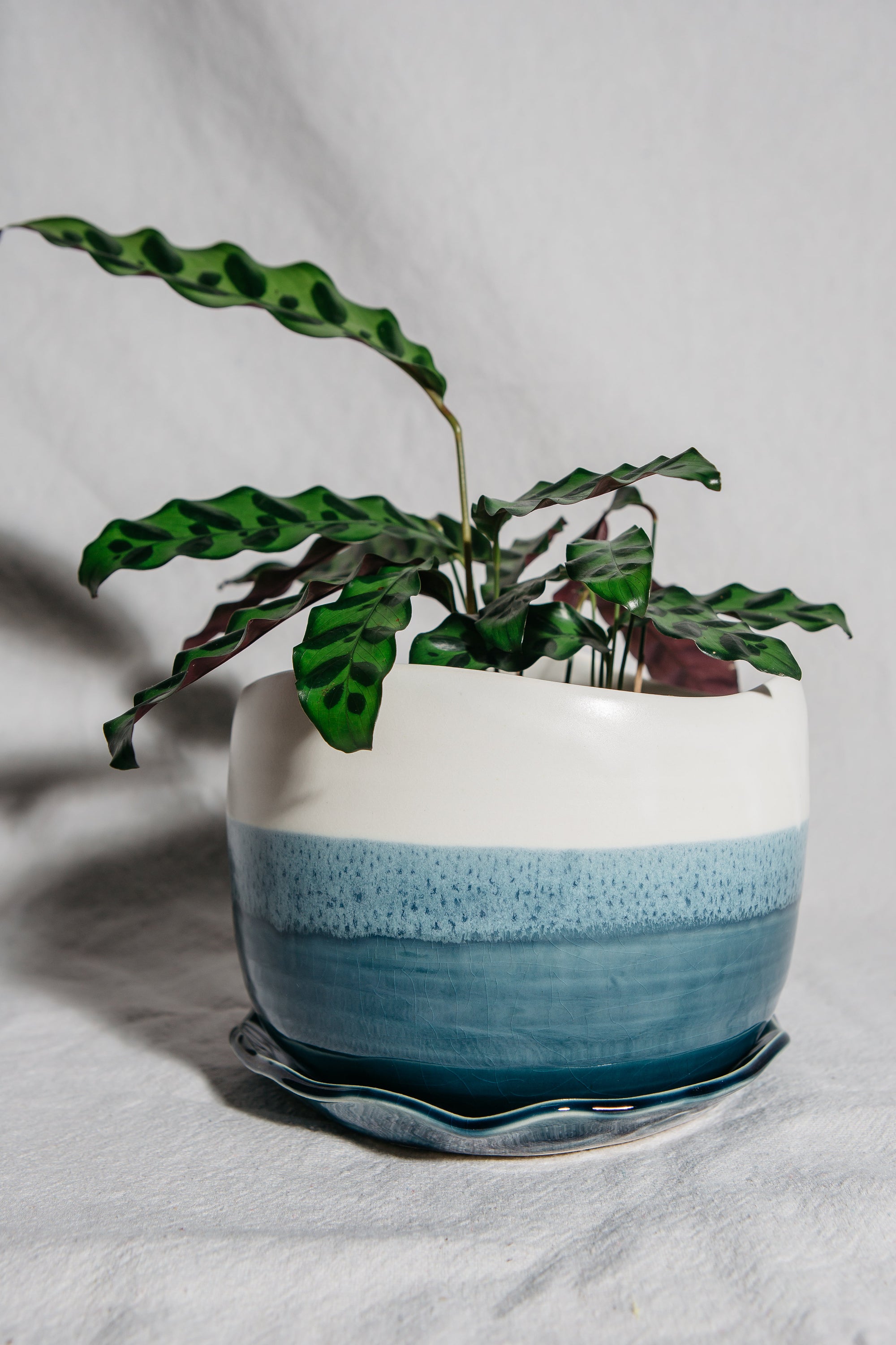 Handcrafted Blue Planter