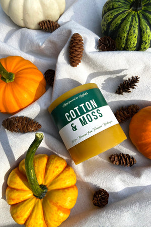 Roasted Pumpkin Beeswax Candle | Hand Poured